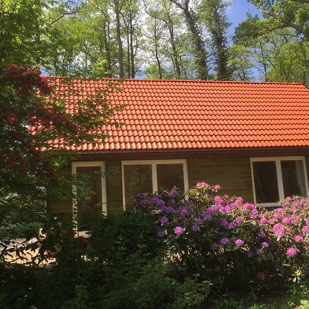 Ferienhof Ohlenbusch Worpswede Dış mekan fotoğraf
