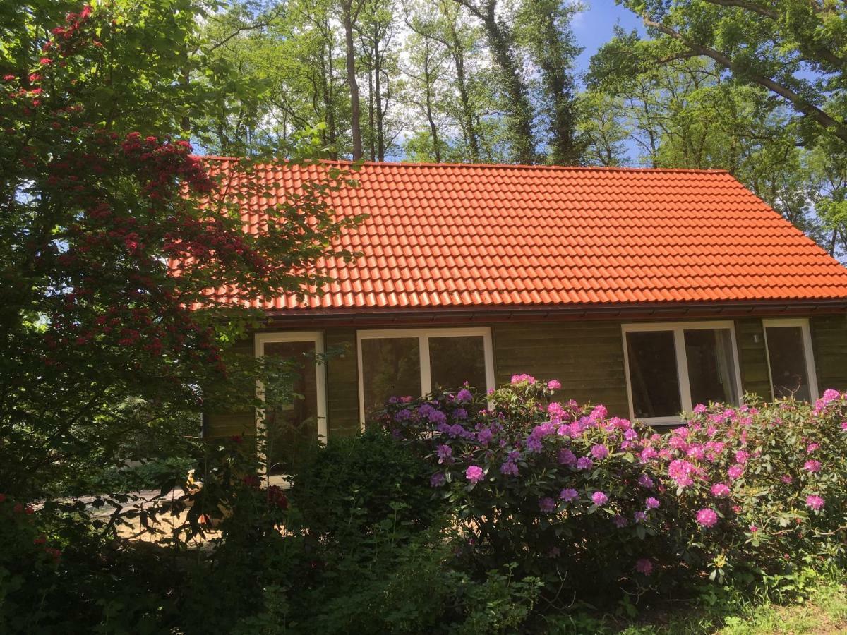 Ferienhof Ohlenbusch Worpswede Dış mekan fotoğraf